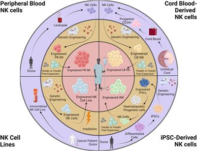 Next Generation Natural Killer Cells for Cancer Immunotherapy